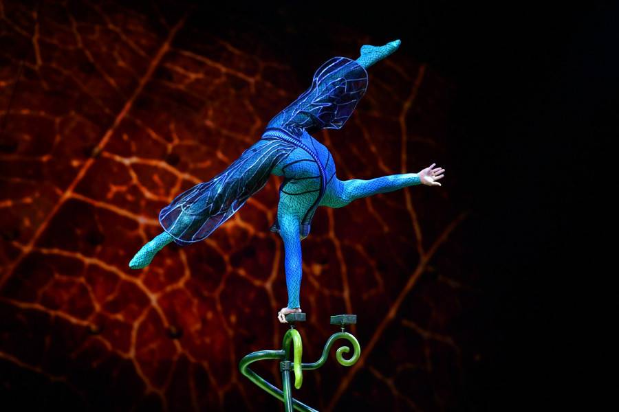 Cirque du Soleil  - OVO