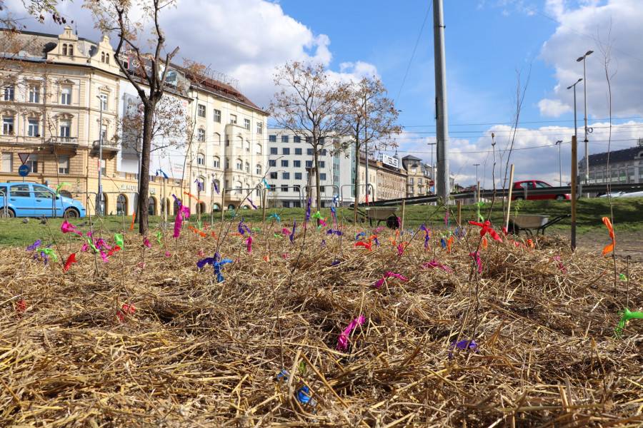 minierdő  Boráros tér